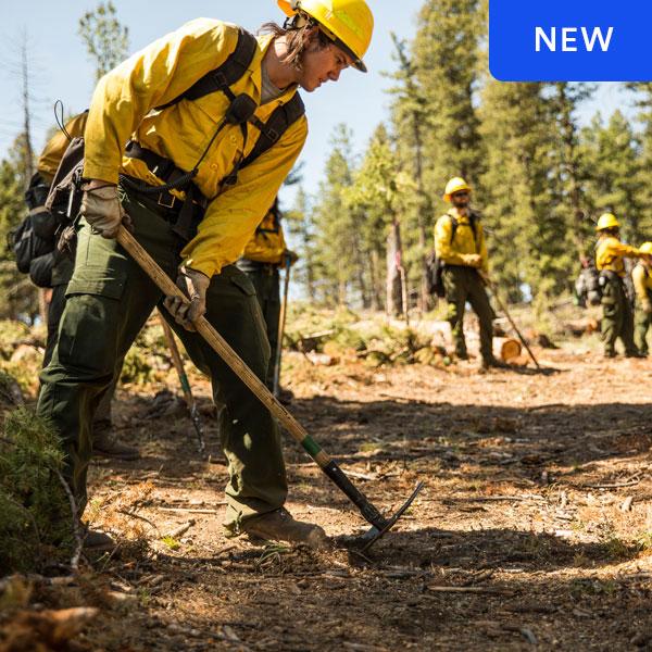 New program: NCCC Forest Corps